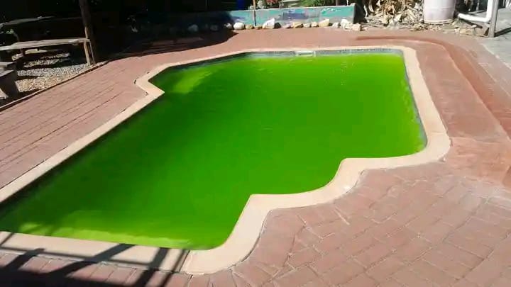Pool Cleaning Durbanville